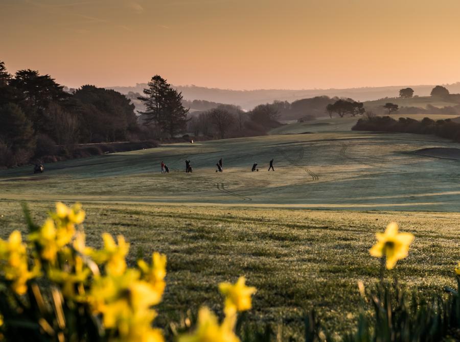 view with daffodils and golf course carlyon